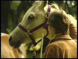 Penelope communicating with white horse